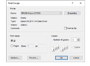 Number & Name Print Options