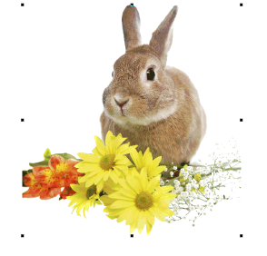 ColorPhotoStitch1.png