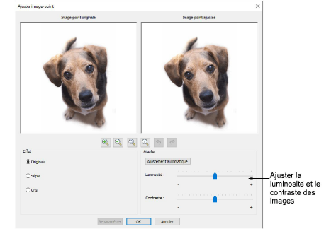 AdjustBitmapPhoto.png