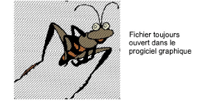 EditImage4.png