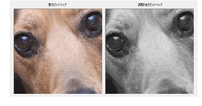 ReefPhotoStitchPreview.png