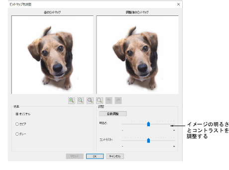 AdjustBitmapPhoto.png