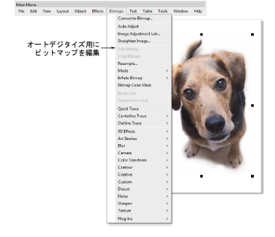 EditBitmapMenu.png
