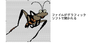 EditImage4.png