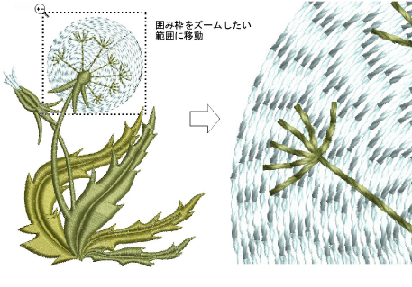 ZoomDesign1.png