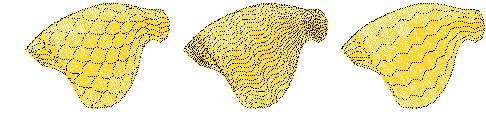 curves00056.png