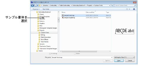 InsertFontSample.png