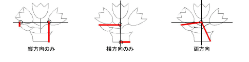 hoops00011.png